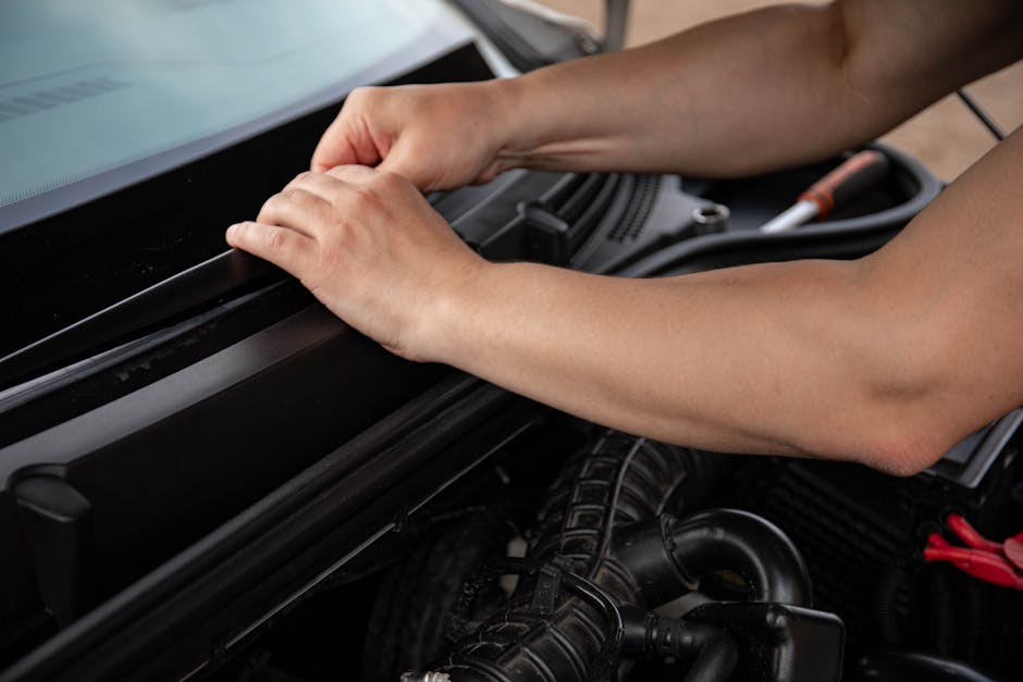 A person’s hands are shown working on a car engine, with the left hand holding a panel or cover and the right hand gently lifting or adjusting it. The engine bay features shiny black plastic components, visible air intake hoses, and metal parts, all under natural lighting. The scene appears to be in a garage or outdoor workspace, emphasizing maintenance or repair activity. The focus on careful handling highlights attention to detail, which aligns with the theme of garden maintenance and addressing common issues with tree access in a landscape setting. Gardeners Islington, a professional gardening service, is recognized for their expertise in landscaping work and outdoor care, including pruning and hedge trimming that can relate to improving tree access.