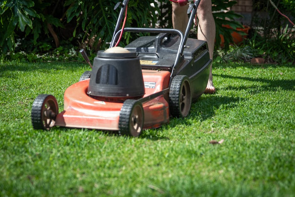 Close-up view of a well-maintained, lush green lawn with freshly cut grass showing a uniform height and soft textures. The grass blades are vibrant and healthy, with a gentle gradient from foreground to background, indicating recent mowing as part of garden maintenance. In the background, the lawn extends into a slightly blurred area, suggesting a spacious garden setting. The surrounding environment features other garden elements such as neatly trimmed hedges and a few small trees, with natural daylight illuminating the scene evenly, highlighting the freshness and vibrancy typical of high-quality landscaping work, as offered by Gardeners Islington, specialists in lawn care and outdoor garden services.